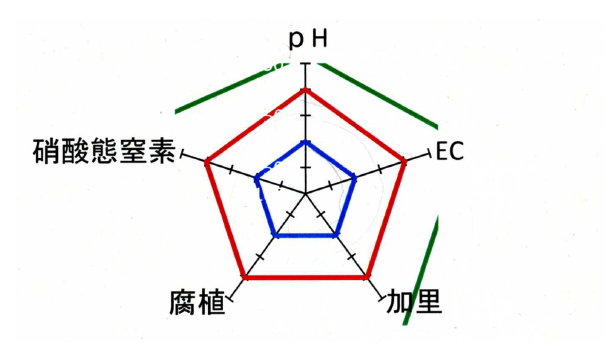 レーダーチャート